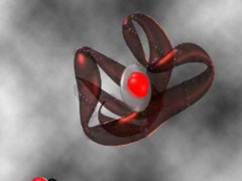Biology Visualization Biology Visualization
