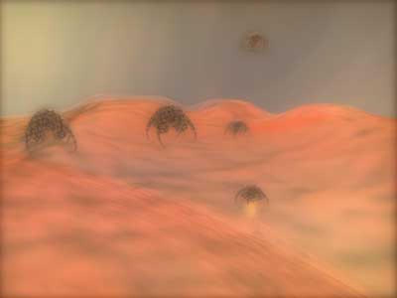 Benign Beings Still 2 Benign Beings Still 2