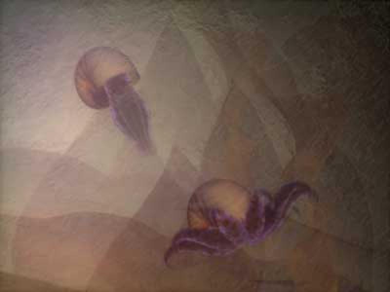 Benign Beings Still Benign Beings Still