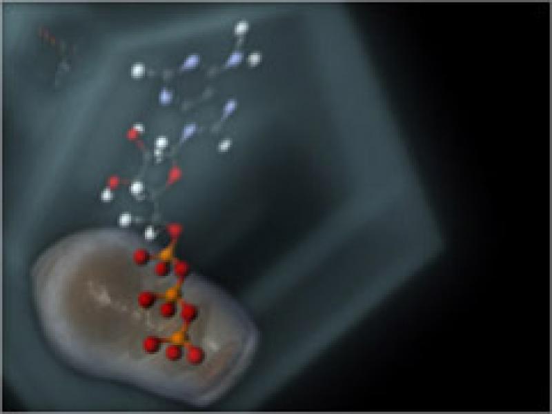 ATP Visualization ATP Visualization