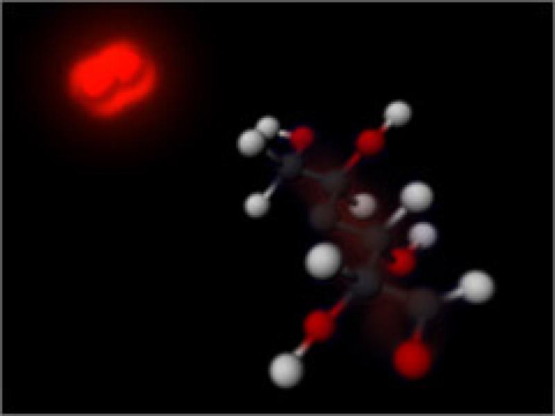 Molecular Visualization Molecular Visualization