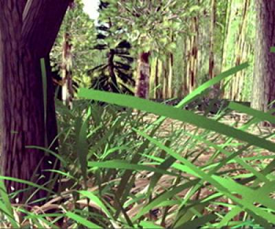 Still from film of a forest scene with abundant trees and other plantlife Still from film of a forest scene with abundant trees and other plantlife