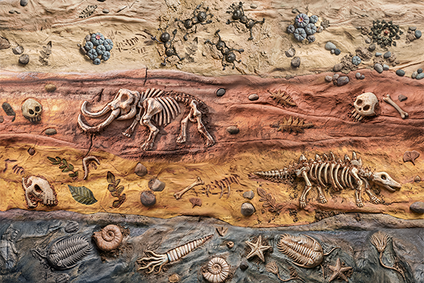 Matte painting of stratified geological layers showing varied textures of mud, clay, and fossilized remains from the Paleozoic to Cenozoic eras.