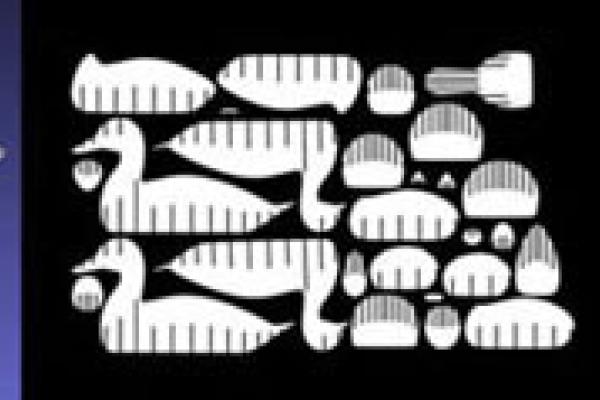 Duck Fabrication Model