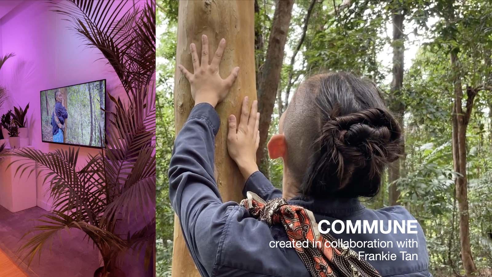 Collage of photos with a person with a partially shaved head touches their hand up the tree of a trunk 